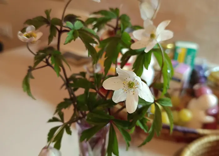 That's - L'incanto Della Valle Gerendaház *