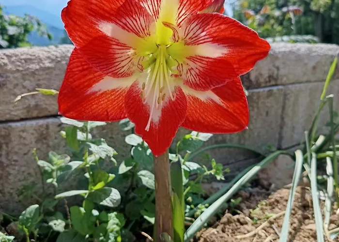 That's - L'incanto Della Valle Gerendaház