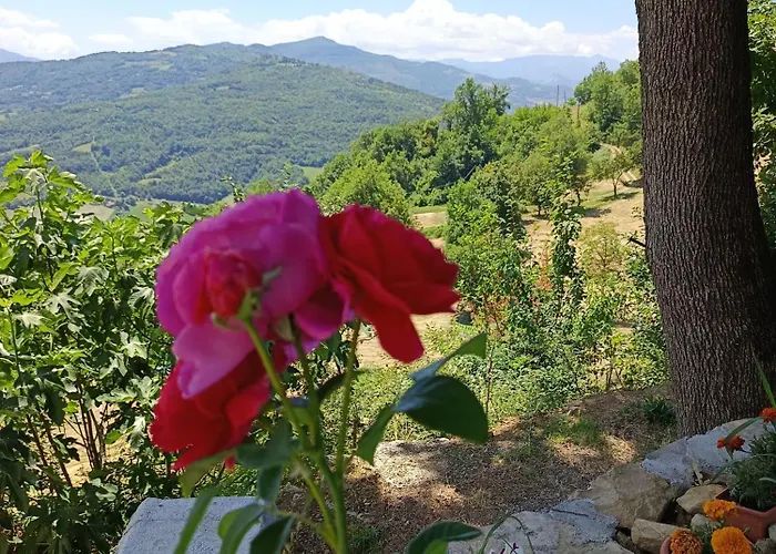 That's - L'incanto Della Valle