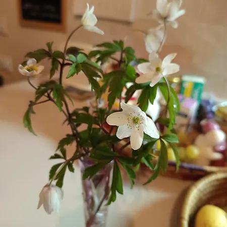 That's - L'incanto Della Valle Lodge *