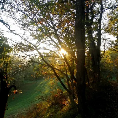 That's - L'incanto Della Valle Lodge Monchio (Modena)