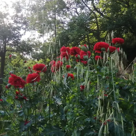 That's - L'incanto Della Valle