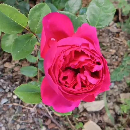 That's - L'incanto Della Valle * Monchio (Modena)