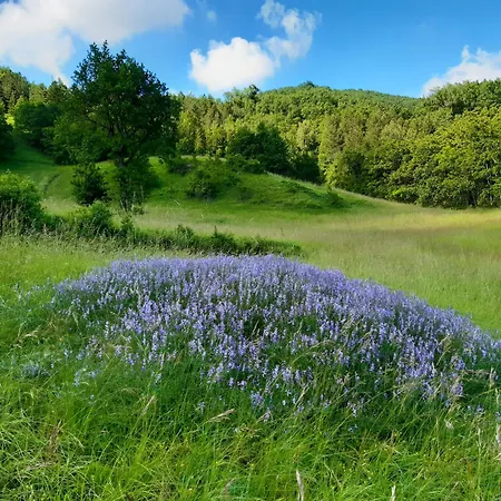 That's - L'incanto Della Valle Monchio (Modena)