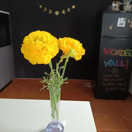 Lodge That's - L'incanto Della Valle