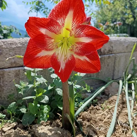 That's - L'incanto Della Valle Lodge