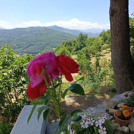 That's - L'incanto Della Valle