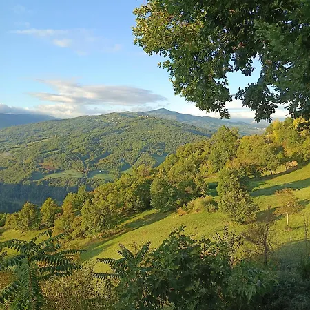 That's - L'incanto Della Valle