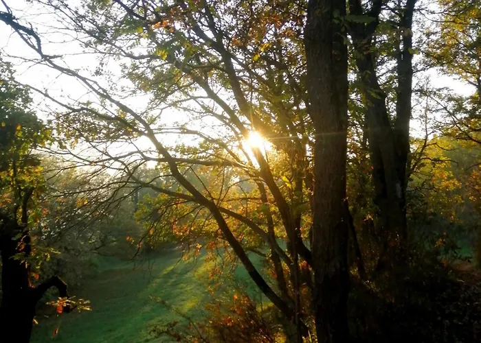 That's - L'incanto Della Valle Alojamento de Turismo Selvagem Monchio (Modena)