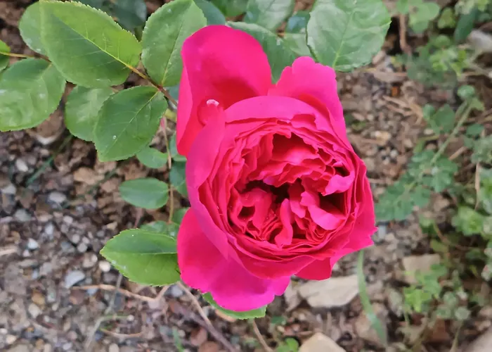 That's - L'incanto Della Valle * Monchio (Modena)