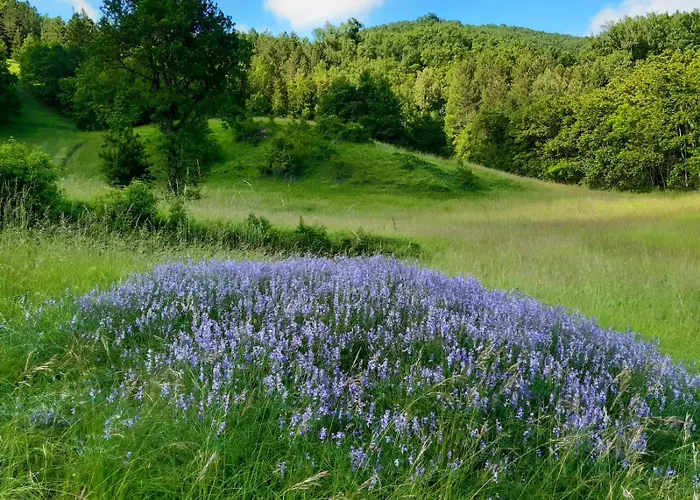 That's - L'incanto Della Valle Monchio (Modena)